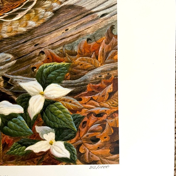 John A Ruthven Signed & Numbered Ruffed Grouse Print 1994 Wildlife Art 312/1000 - Picture 6 of 8